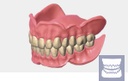 Exocad Module Full Denture - perpétuel